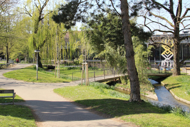 Park im Institutsviertel