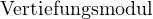                                                                                                                                                                                                           Vertiefungsmodul 