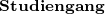  Studiengang  