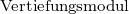                                                    Vertiefungsmodul 